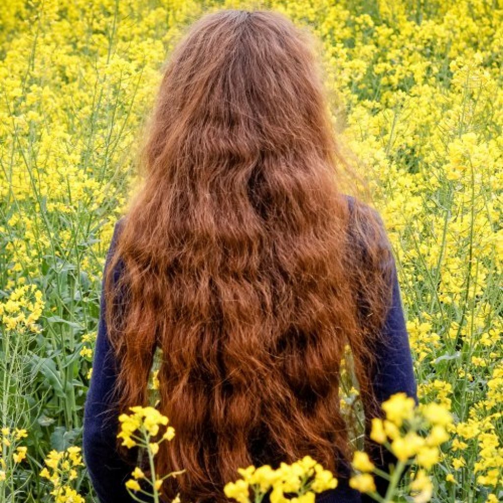 Wuscheline-Rapsfeld