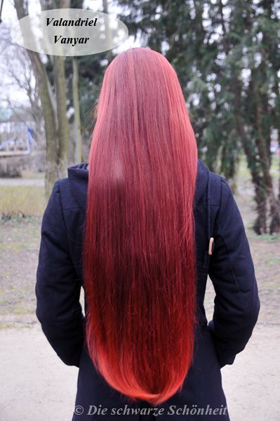 Die Haarbande Die schwarze Schönheit