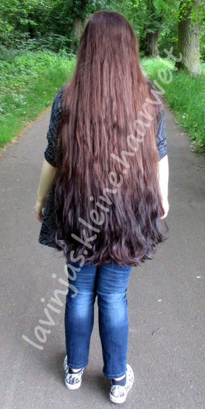 Die Haarbande Die Haarbande