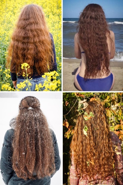 Die Haarbande Die Haarbande